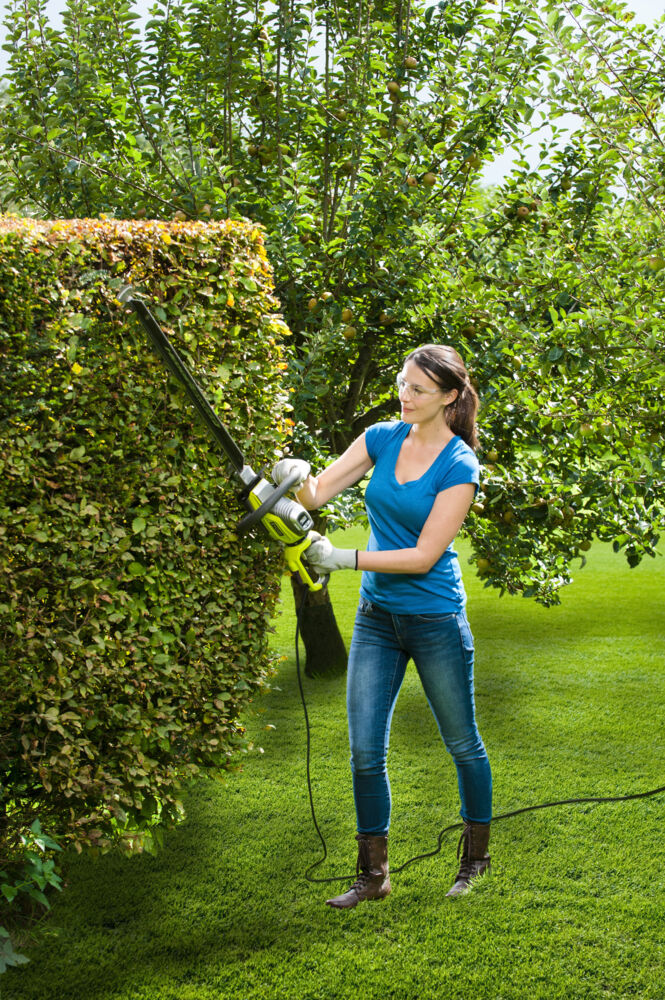 Tagliasiepi Ryobi 650W - RHT6760RL