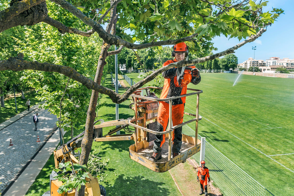 Motosega potatura T435